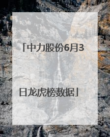中力股份6月3日龙虎榜数据