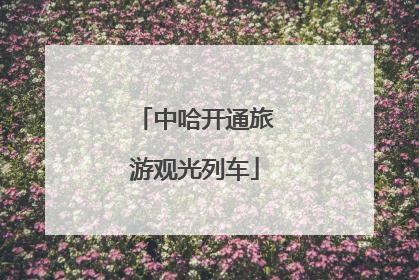 中哈开通旅游观光列车