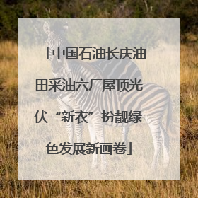 中国石油长庆油田采油六厂屋顶光伏“新衣”扮靓绿色发展新画卷