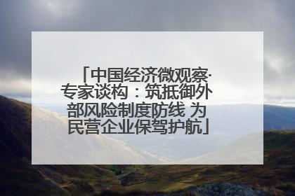 中国经济微观察·专家谈构：筑抵御外部风险制度防线 为民营企业保驾护航