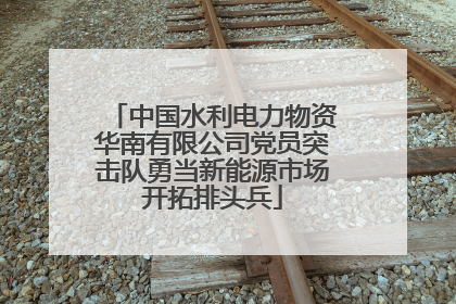 中国水利电力物资华南有限公司党员突击队勇当新能源市场开拓排头兵