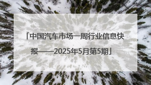 中国汽车市场一周行业信息快报——2025年5月第5期