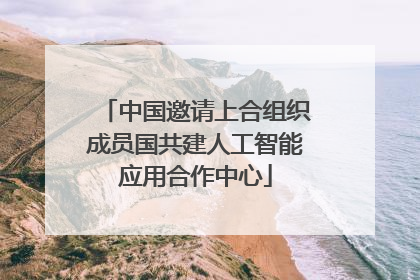 中国邀请上合组织成员国共建人工智能应用合作中心