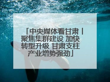 中央媒体看甘肃丨聚焦集群建设 加快转型升级 甘肃支柱产业增势强劲