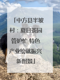 中方县半坡村：夏日茶园管护忙 特色产业绘就振兴新图景