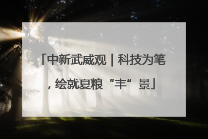 中新武威观｜科技为笔，绘就夏粮“丰”景