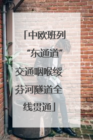 中欧班列“东通道”交通咽喉绥芬河隧道全线贯通