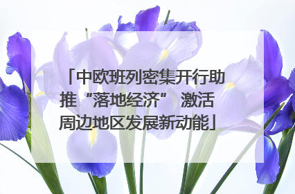 中欧班列密集开行助推“落地经济” 激活周边地区发展新动能