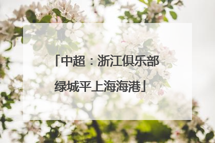 中超：浙江俱乐部绿城平上海海港