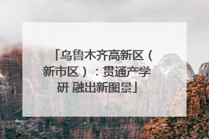 乌鲁木齐高新区（新市区）：贯通产学研 融出新图景