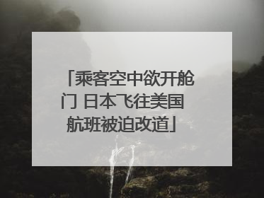 乘客空中欲开舱门 日本飞往美国航班被迫改道