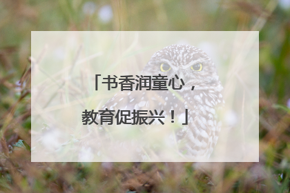 书香润童心，教育促振兴！