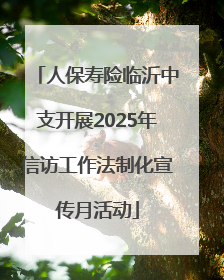 人保寿险临沂中支开展2025年信访工作法制化宣传月活动