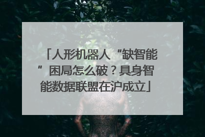 人形机器人“缺智能”困局怎么破？具身智能数据联盟在沪成立