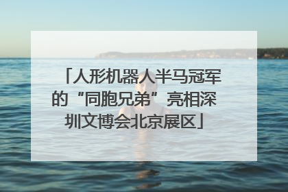人形机器人半马冠军的“同胞兄弟”亮相深圳文博会北京展区