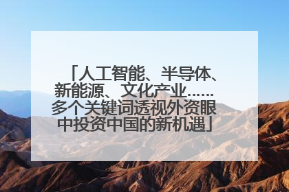 人工智能、半导体、新能源、文化产业……多个关键词透视外资眼中投资中国的新机遇