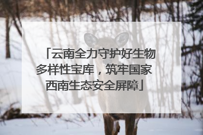 云南全力守护好生物多样性宝库，筑牢国家西南生态安全屏障