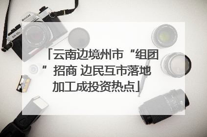 云南边境州市“组团”招商 边民互市落地加工成投资热点
