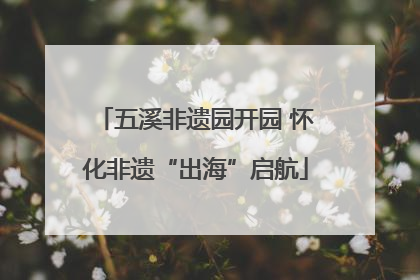 五溪非遗园开园 怀化非遗“出海”启航