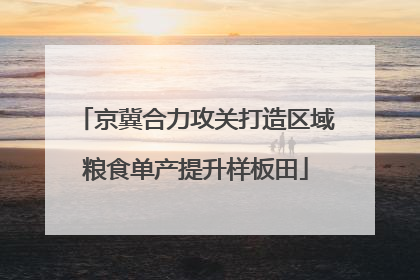 京冀合力攻关打造区域粮食单产提升样板田