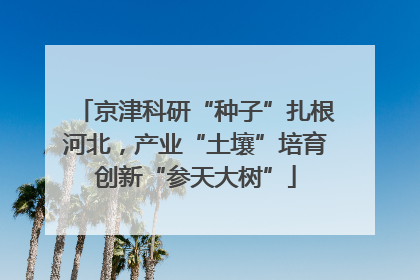 京津科研“种子”扎根河北，产业“土壤”培育创新“参天大树”
