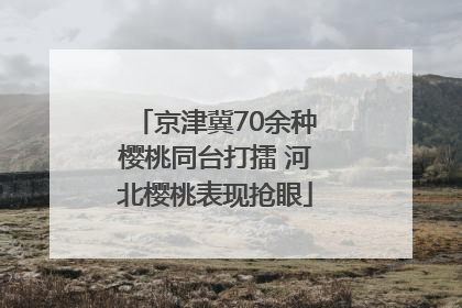 京津冀70余种樱桃同台打擂 河北樱桃表现抢眼