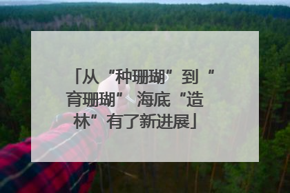 从“种珊瑚”到“育珊瑚” 海底“造林”有了新进展