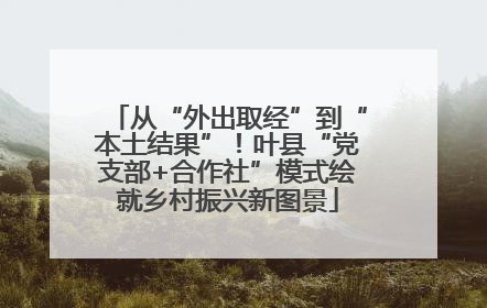 从“外出取经”到“本土结果”！叶县“党支部+合作社”模式绘就乡村振兴新图景
