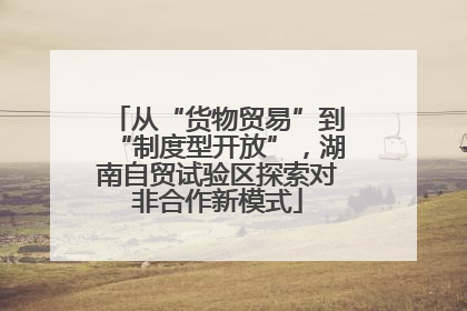 从“货物贸易”到“制度型开放”，湖南自贸试验区探索对非合作新模式