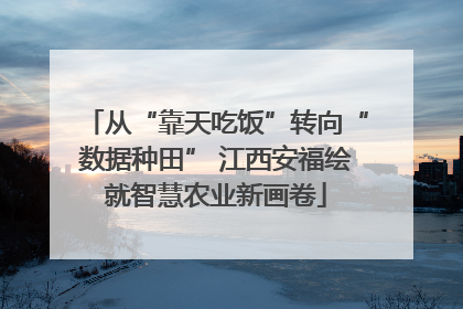 从“靠天吃饭”转向“数据种田” 江西安福绘就智慧农业新画卷