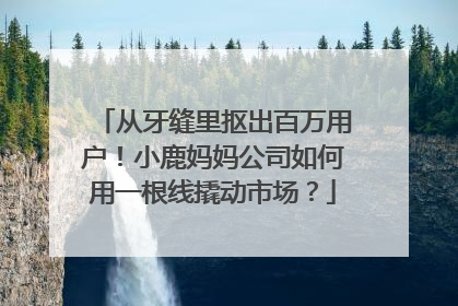 从牙缝里抠出百万用户！小鹿妈妈公司如何用一根线撬动市场？