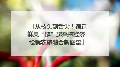 从枝头到舌尖！宿迁鲜果“链”起采摘经济绘就农旅融合新图景