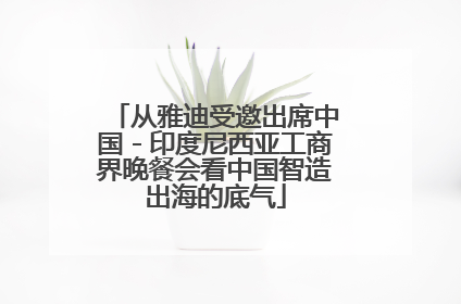 从雅迪受邀出席中国－印度尼西亚工商界晚餐会看中国智造出海的底气