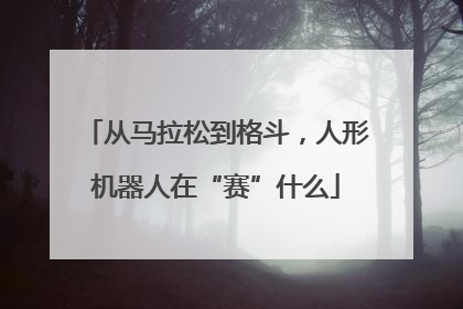 从马拉松到格斗，人形机器人在“赛”什么