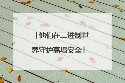 他们在二进制世界守护高墙安全