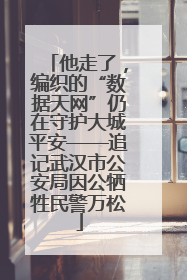 他走了，编织的“数据天网”仍在守护大城平安——追记武汉市公安局因公牺牲民警万松
