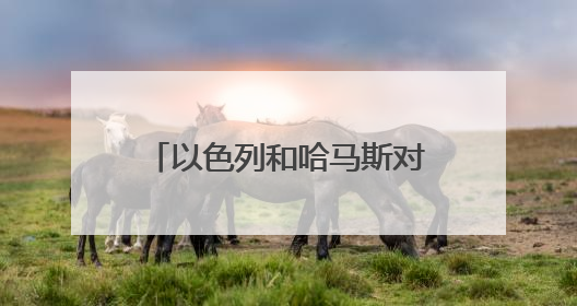 以色列和哈马斯对美国的加沙停火方案态度显“温差”