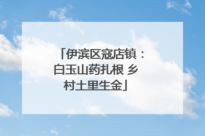 伊滨区寇店镇：白玉山药扎根 乡村土里生金