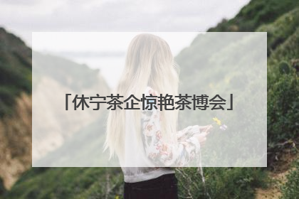 休宁茶企惊艳茶博会