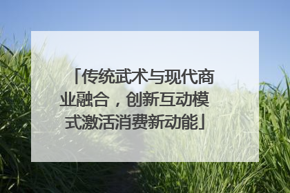 传统武术与现代商业融合，创新互动模式激活消费新动能