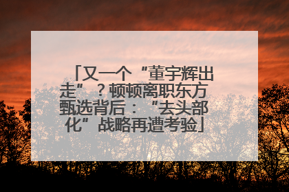 又一个“董宇辉出走”？顿顿离职东方甄选背后：“去头部化”战略再遭考验