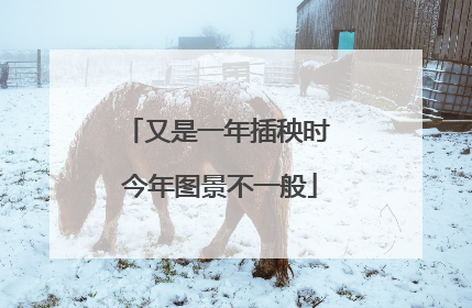 又是一年插秧时 今年图景不一般