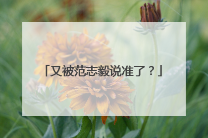 又被范志毅说准了？