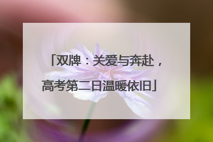 双牌：关爱与奔赴，高考第二日温暖依旧