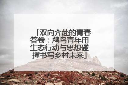 双向奔赴的青春答卷：鸬鸟青年用生态行动与思想碰撞书写乡村未来