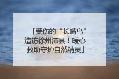 受伤的“长嘴鸟”造访徐州沛县！暖心救助守护自然精灵