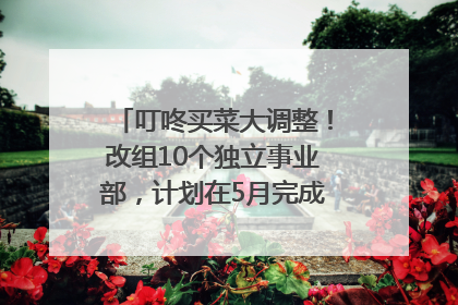 叮咚买菜大调整！改组10个独立事业部，计划在5月完成App端全面改版