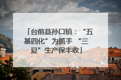台前县孙口镇：“五基四化”为抓手 “三夏”生产保丰收