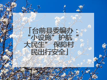 台前县委编办：“小设施”护航“大民生” 保障村民出行安全