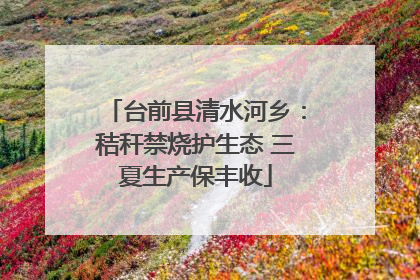 台前县清水河乡：秸秆禁烧护生态 三夏生产保丰收